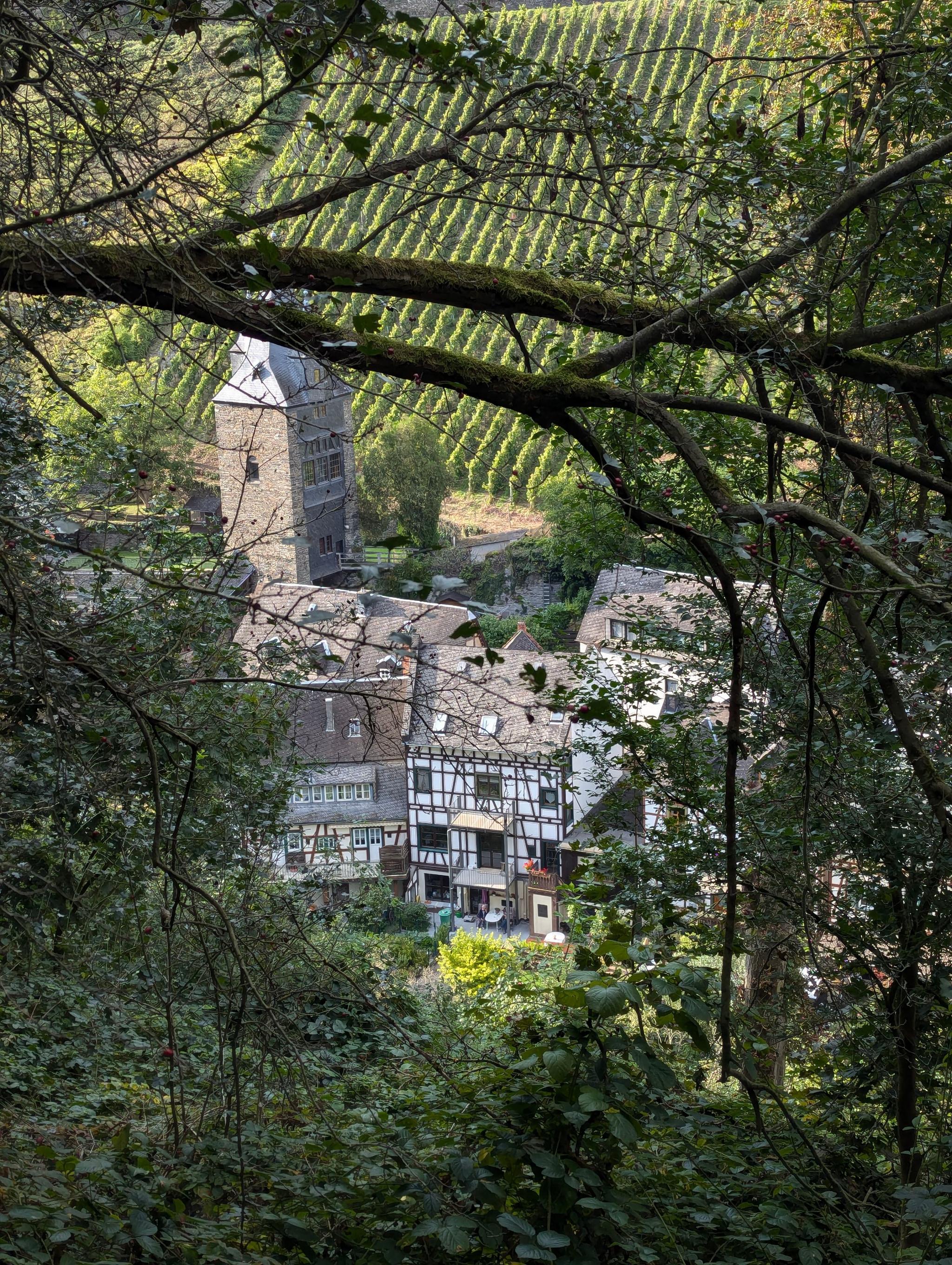 A hidden glimpse of Bacharach’s historic charm nestled amidst vineyard slopes.